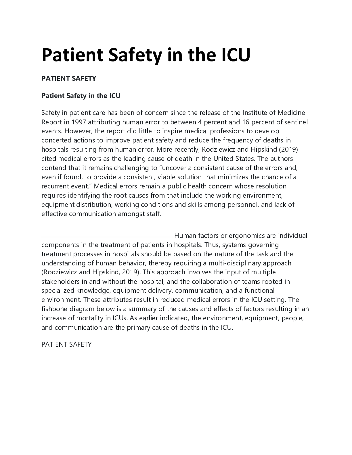 Preview image for Patient Safety in the ICU